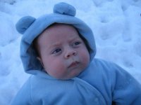 In the snow 2.jpg