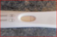 new test 2.JPG