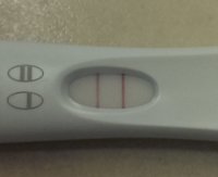 8-26 FRER.jpg