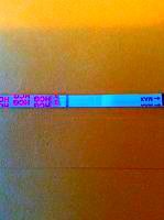 IMG_20130827_123031.jpg