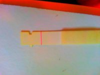 IMG_20130829_074553.jpg