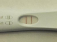 FRER8-29 (Small).jpg
