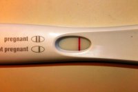 frer 003.jpg