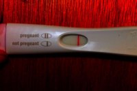 frer 004.jpg