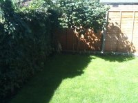 IMG_3905.jpg