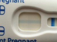 preggo test.jpg