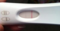 10 dpo fmu.jpg