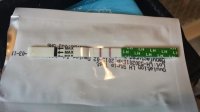 CD16.jpg