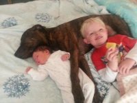 Rio, Banjo & Lucy.jpg