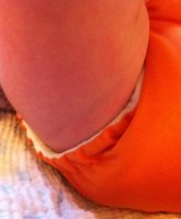 IMG_2299.jpg