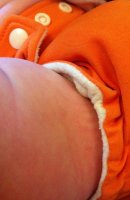 IMG_2303.jpg