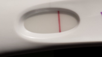 2013-09-30 14.12.01.png