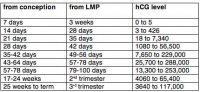 hCG_levels.jpg