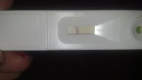 IMG_20131007_124444_073.jpg