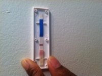 test1.jpg