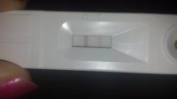 IMG_20131009_054451_792.jpg