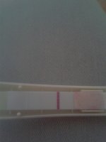PicsArt_1381504306498.jpg