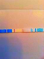 IMG_20131011_121226.jpg