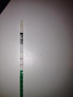 OPK-Sat 5pm.jpg