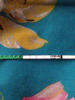 OPK-Friday 9am.jpg