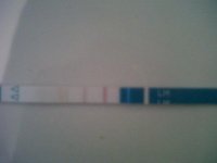 OPK.jpg