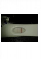 FRER.jpg