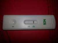 HPT 10dpo 11 20.jpg