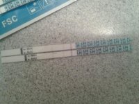 20131025_124126.jpg