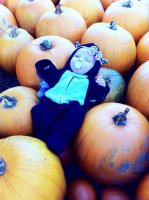 Pumpkins.jpg