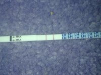 20131027_064440.jpg