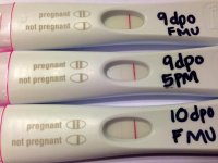 9 to 10 frer.jpg