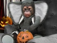 Happy-Halloween-9-320x240.jpg
