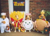 funny-pets-halloween-costumes-dogs.jpg