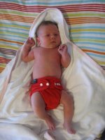 IMG_1640.jpg