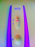 IMG_20131104_134308.jpg