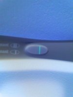 IMG_20131104_152057.jpg