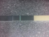 20131106_184004.jpg