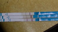 20131107_123334.jpg