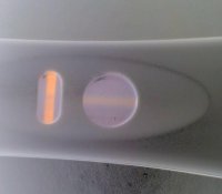 IMG_20131107_160304.jpg