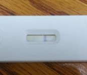 20131108_080014_opt.jpg