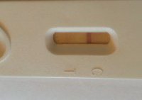 20131108_074119_opt.jpg
