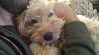 20131109_214707.jpg