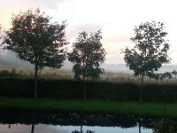 20121004_072950.jpg