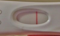 frer2.jpg