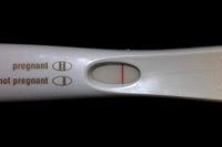 new 006111.jpg