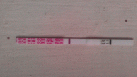 IMAG2931_opt.gif