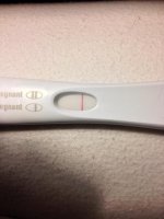 frer.jpg