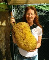 Jackfruit-844x1024.jpg