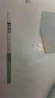 opk pm still drying cd14.jpg
