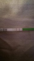 cd15opk.jpg